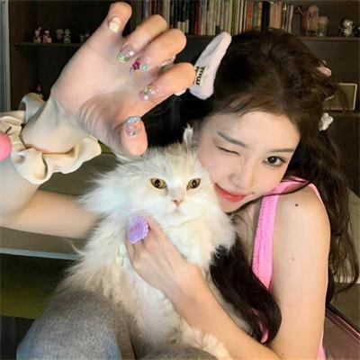艾哈迈德王子历险记